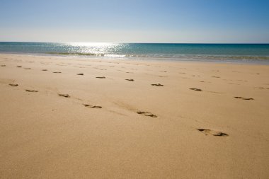 A beach with footsteps in front clipart