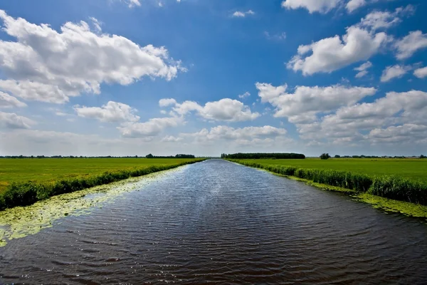 A Dutch canal with grass on both sides — Stock Photo, Image