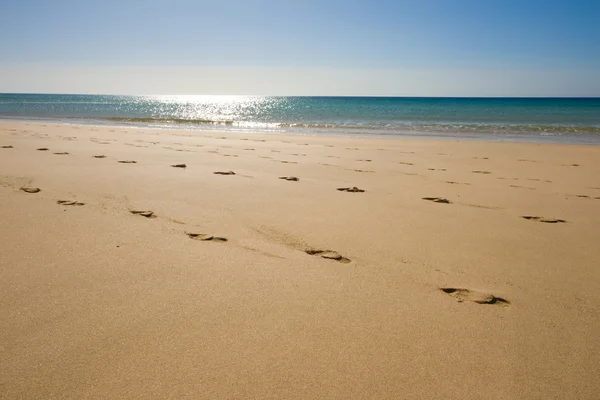 stock image A beach with footsteps in front