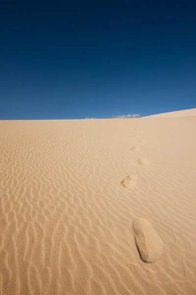 Footsteps in the dunes — Stock Photo, Image