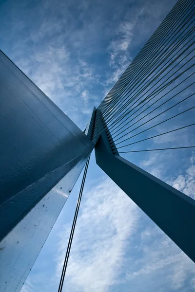 En titt upp och erasmus-bron Stockbild