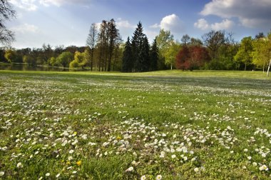 Spring landscape clipart