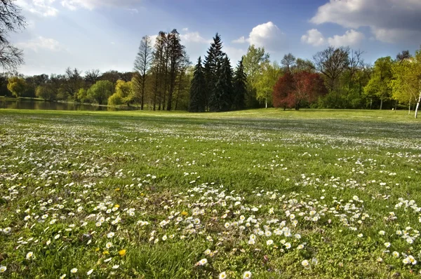 stock image Spring landscape