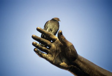 Pigeon on a sculpture's hand clipart