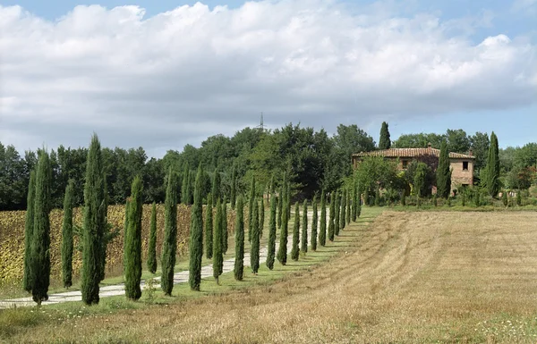 Klassieke Toscaanse boerderij — Stockfoto