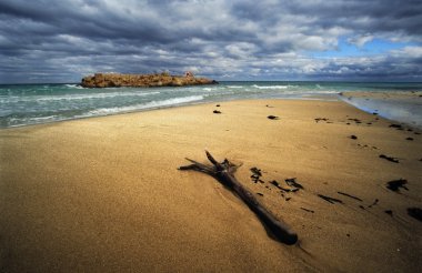 Alone before storm at the sea clipart