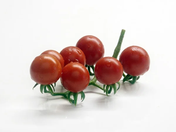 Körsbär tomat — Stockfoto