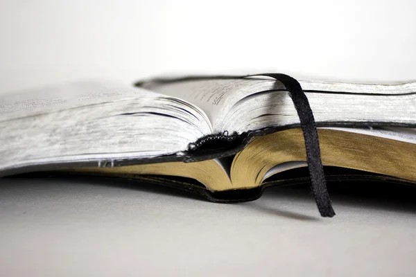 Två biblar från sidan — Stockfoto
