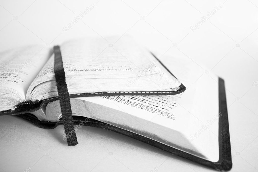Two Bibles on White
