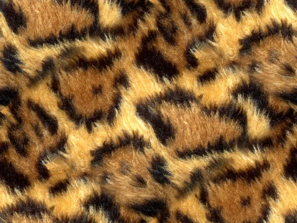 Pelle di leopardo Fotografia Stock