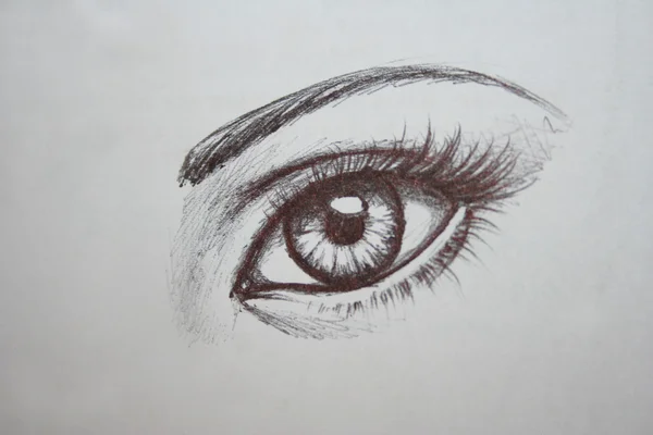 Mão desenhada grande olho feminino e sobrancelha — Fotografia de Stock