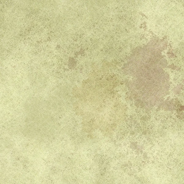 Krem renkli doğal arka — Stok fotoğraf