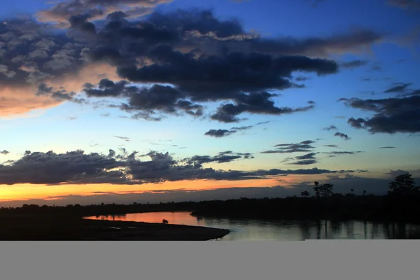 stock image ASSAM LANDSCAPE