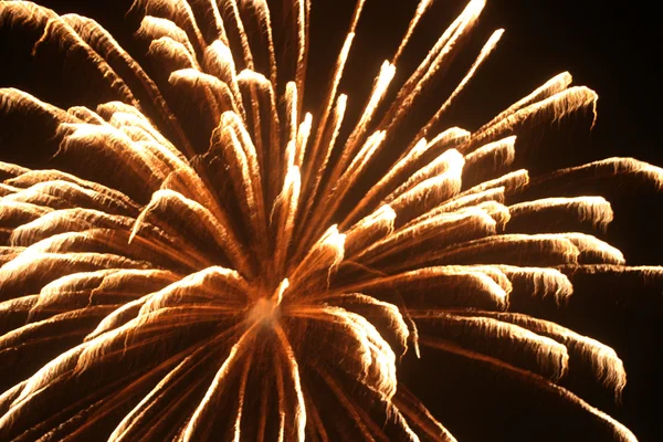 Fire works Royalty Free Stock Photos