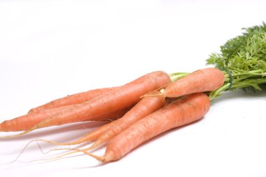 Garden carrots clipart