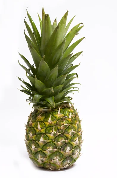 stock image Small pineapple