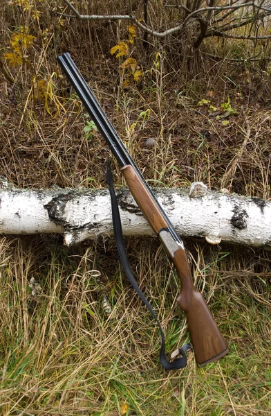 A arma de caça — Fotografia de Stock