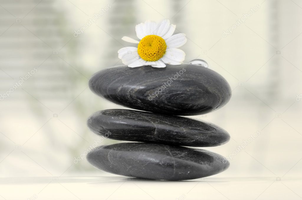 Stone tower with camomile