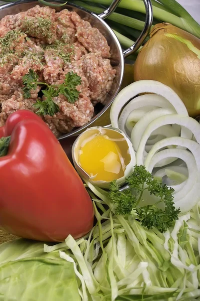 Meat loaf ingredients — Stock Photo, Image