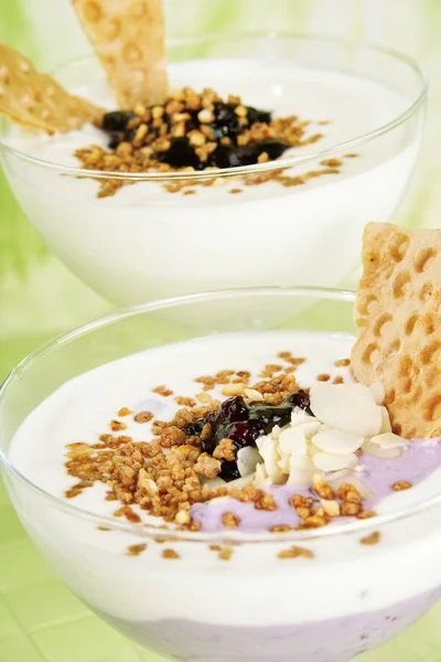Joghurt-Quark-Dessert — Stockfoto