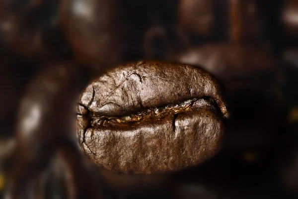 Taze kavrulmuş kahve oldu — Stok fotoğraf