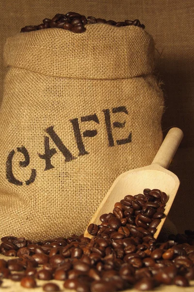Frisch geröstete Kaffeebohnen — Stockfoto
