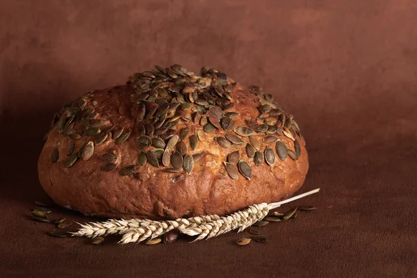 Pumpkin core bread — Stock Photo, Image