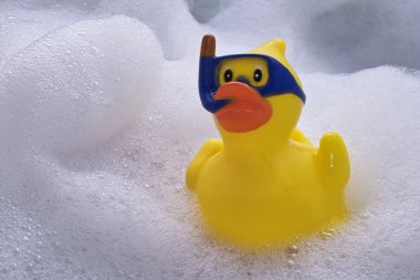 Plastic duck clipart