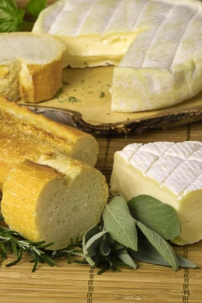 French cheese — Stock Photo, Image