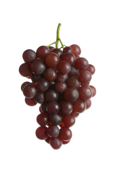 Raisins rouges — Photo