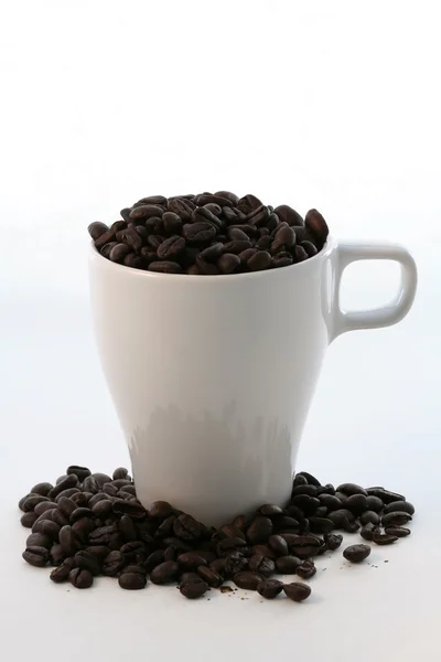Coffee beans Royalty Free Stock Photos