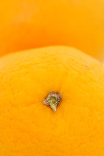 Appelsiner - Stock-foto