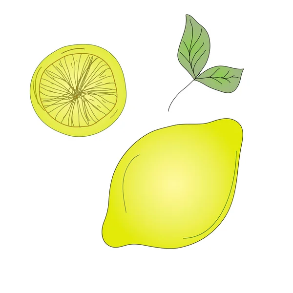 Эскиз лимона — стоковый вектор