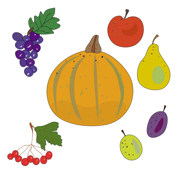 Uppsättning grönsaker och frukter — Stock vektor