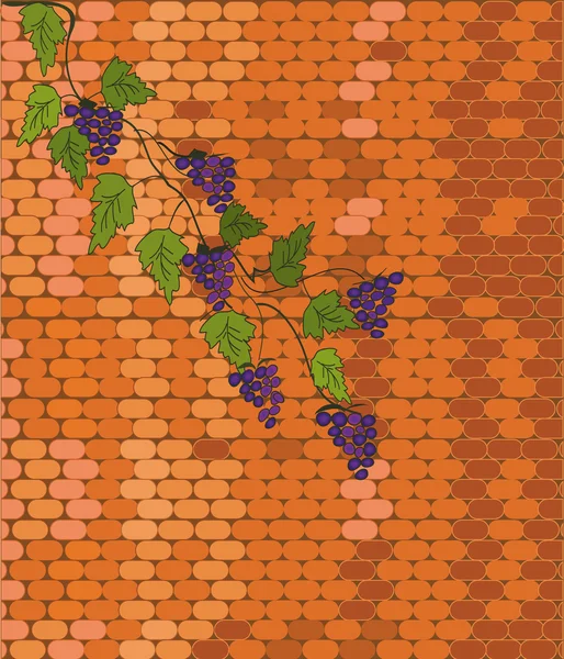 Кирпичная стена с виноградом — стоковый вектор