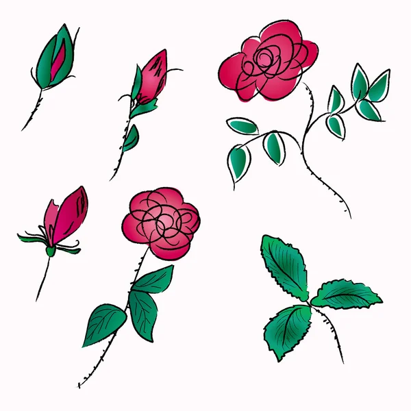 Croquis de roses — Image vectorielle