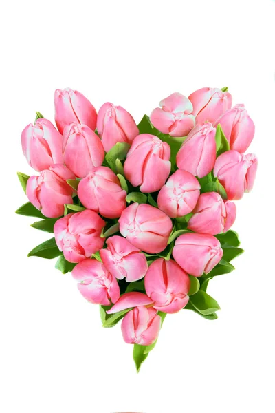Tulips in shape of heart — Stock Photo, Image