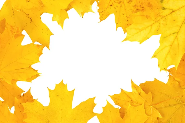 Žluté podzim podzim listí rám pozadí — Stock fotografie