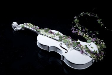 Violin And Flowers clipart