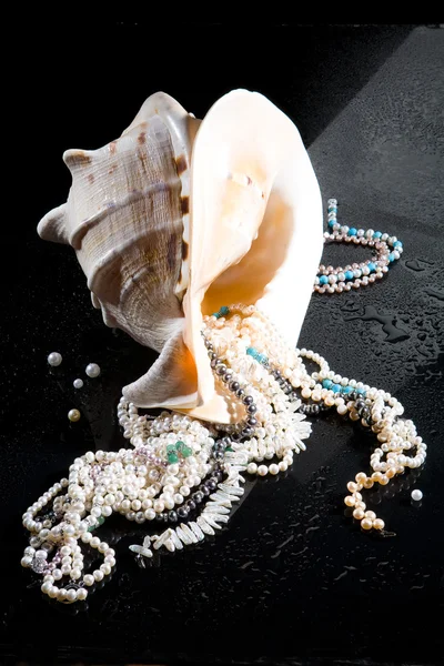 Jewelry And Shell — Stock Photo, Image