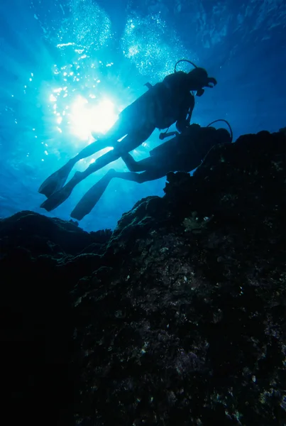 Diving the reef Zdjęcia Stockowe bez tantiem