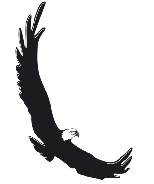 Fliegender Adler clipart