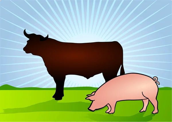Rind und Schwein — Stock Vector