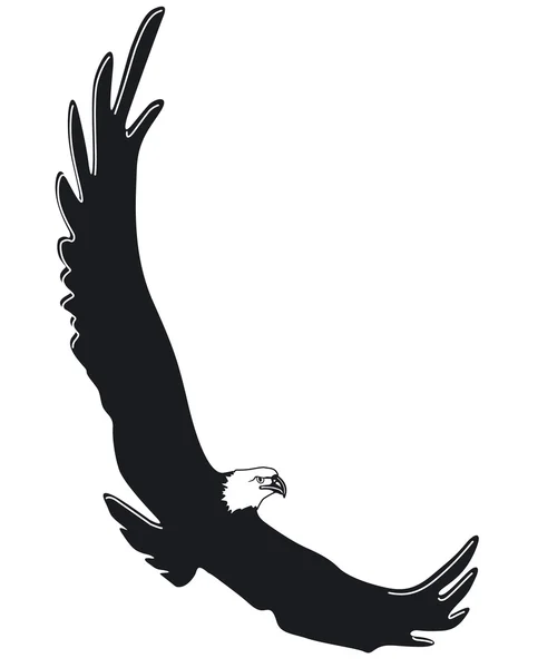Fliegender Adler — Stock Vector