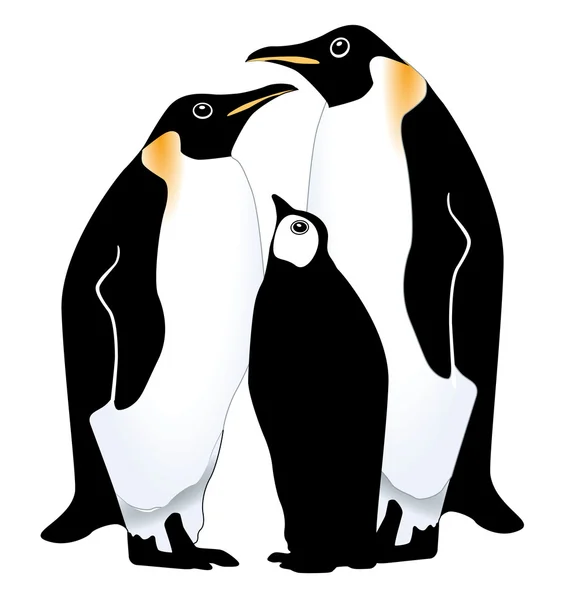 Famille Pinguin — Image vectorielle