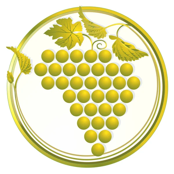 Goldene Weintraube — Stockvector