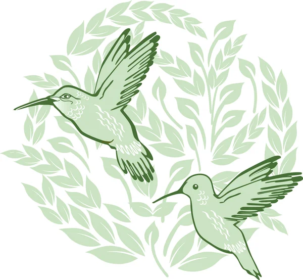 Kolibri — Stok Vektör