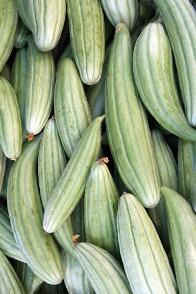 stock image Vegetable