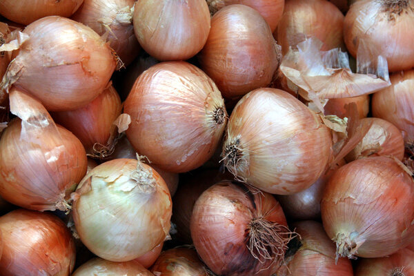 Onions