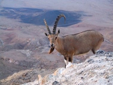 üzerinde ayağa Ramon'a krater